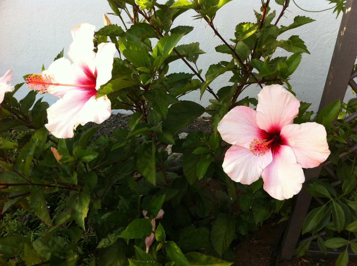 Bungalow La Datura El Paso Luaran gambar